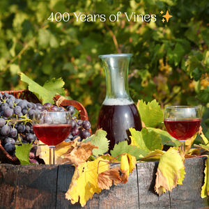 Fun Fact Friday 🍷✨ – The Oldest Known Vineyard