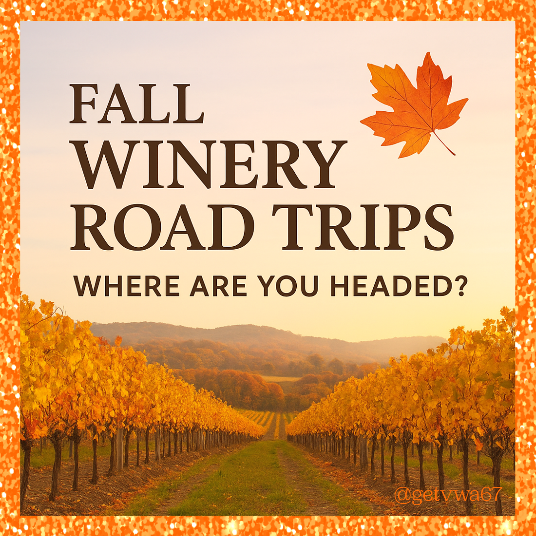 Fall Winery Road Trips: Sip, Sparkle & Chase the Leaves 🍂🍷