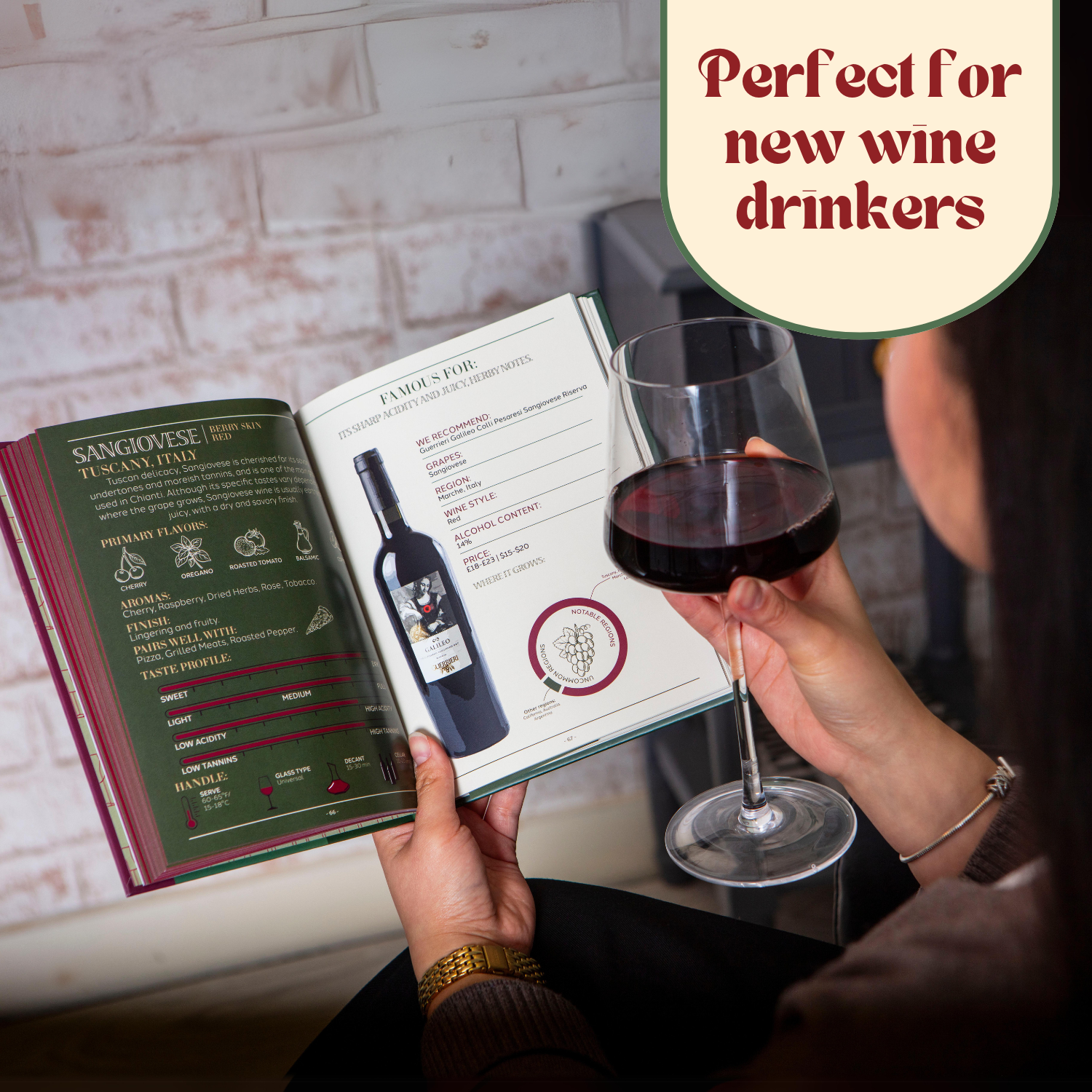 50 Wines To Try: From Sipper to Sommelier – Wine Lover Gift Book