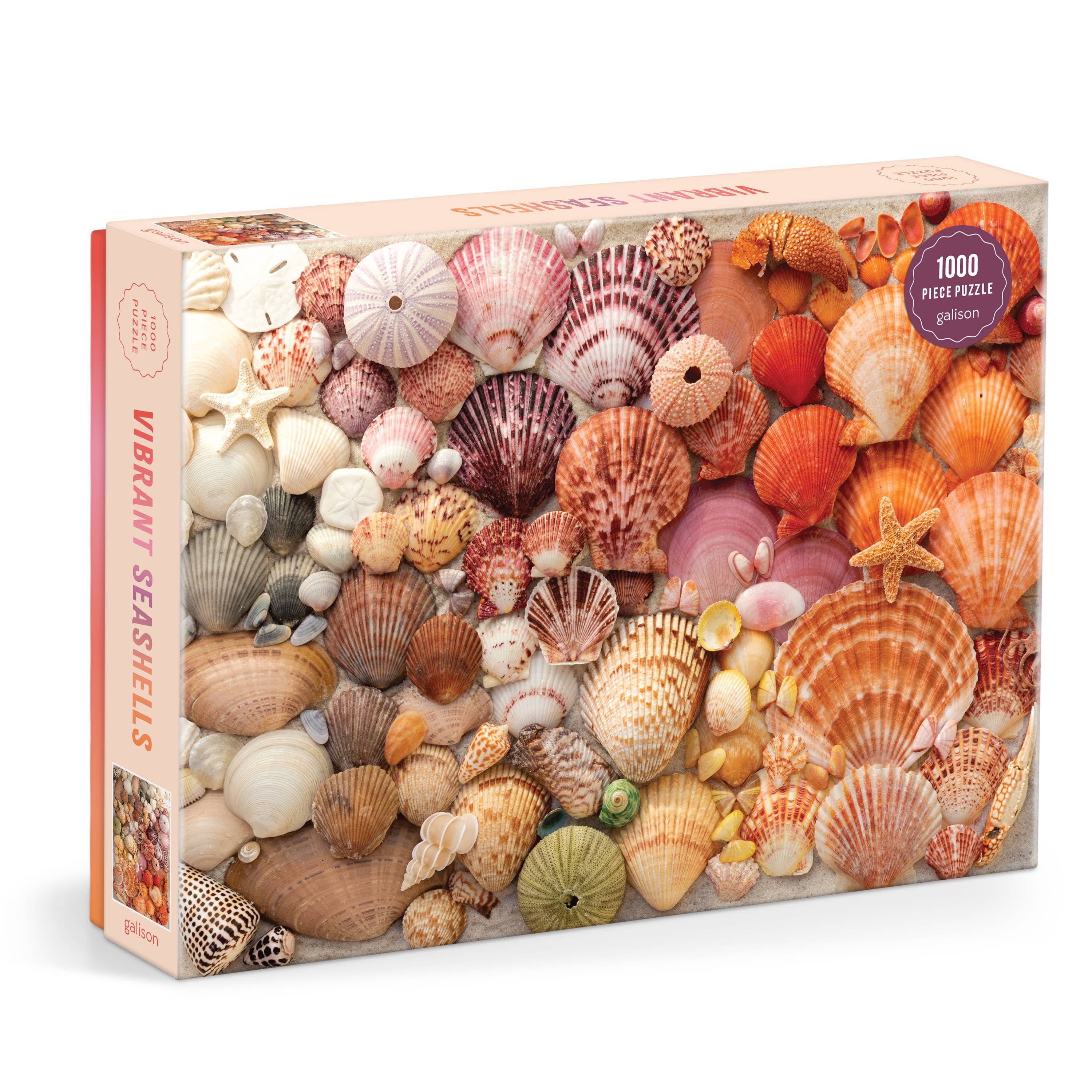 Vibrant Seashells | 1000-Piece Seashell Jigsaw Puzzle
