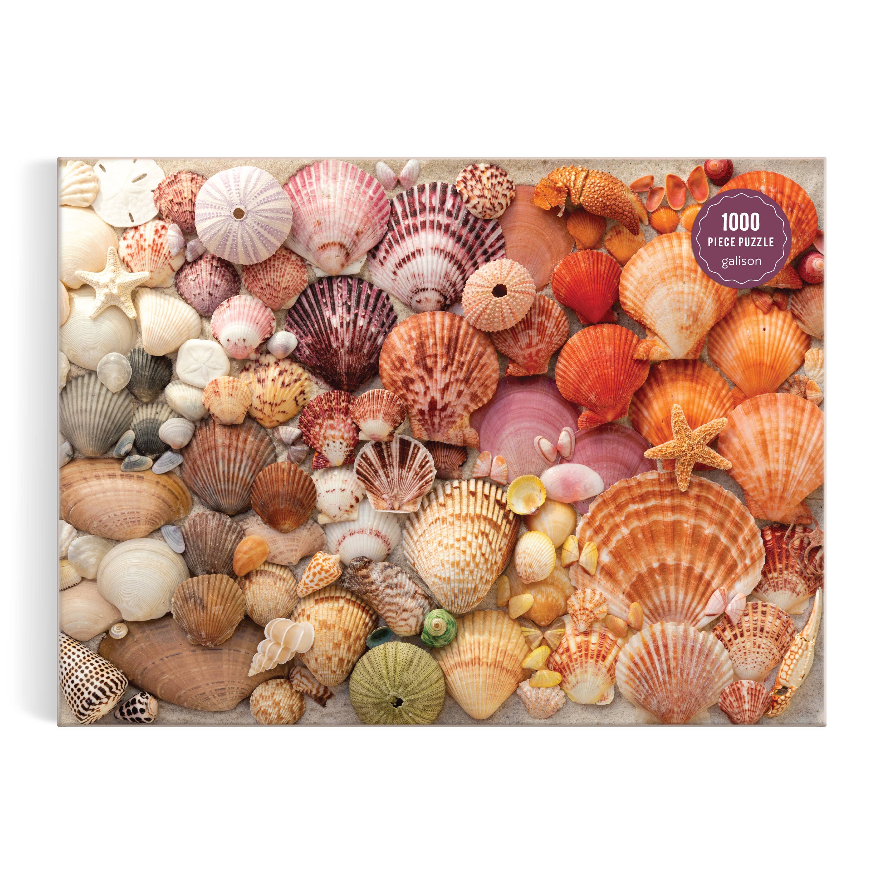 Vibrant Seashells | 1000-Piece Seashell Jigsaw Puzzle